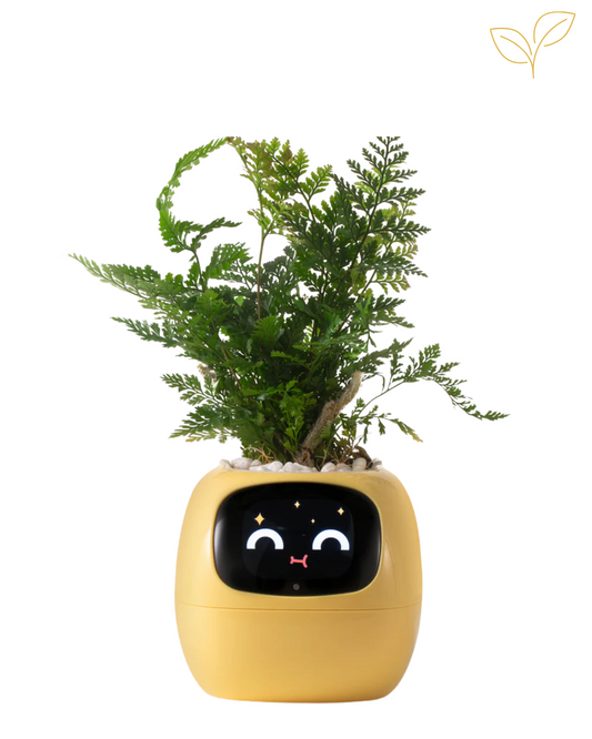 EvergreenX – Smart Plant Companion