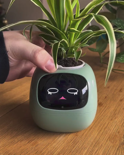 EvergreenX – Smart Plant Companion